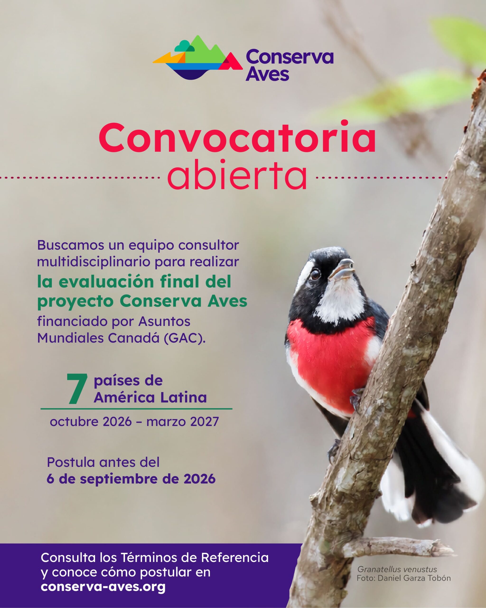 Consultoría - Evaluación Final Conserva Aves